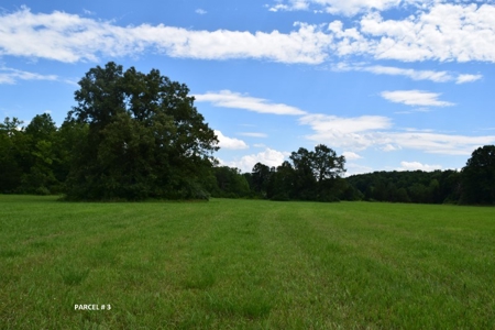 51 Acres of Farmland for Sale at Auction! - image 22