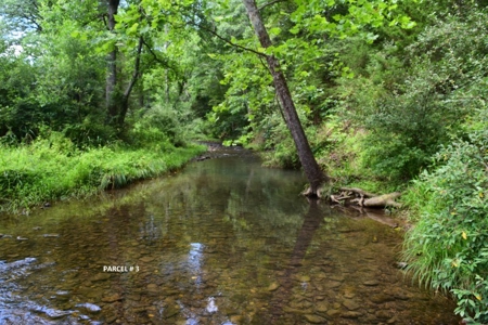 51 Acres of Farmland for Sale at Auction! - image 20
