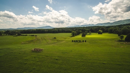 Large Land Auction in Fincastle VA! - image 7