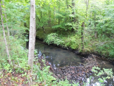 Auction 14.9 Acres on Parker Road Hartselle AL - image 3