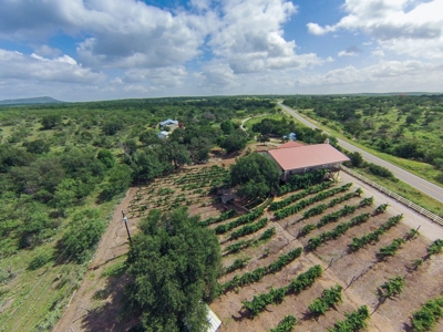 Lost Creek Vineyard & Bistro Real Estate Auction - image 22