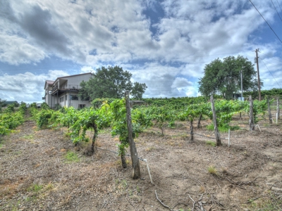 Lost Creek Vineyard & Bistro Real Estate Auction - image 26