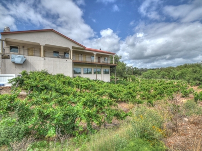 Lost Creek Vineyard & Bistro Real Estate Auction - image 29