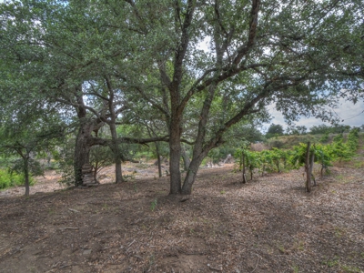 Lost Creek Vineyard & Bistro Real Estate Auction - image 27