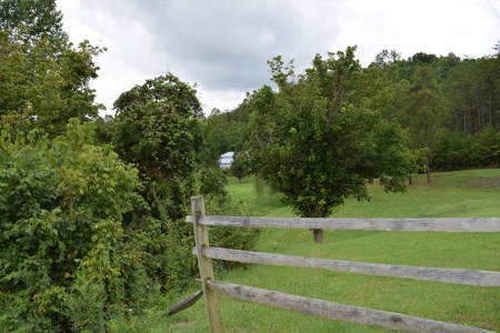 AUCTION Home/cars/personal property Sale in Hawkins CO TN - image 7