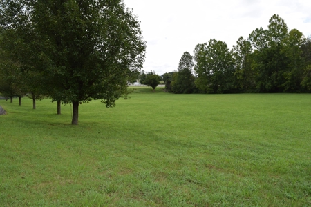AUCTION Home/cars/personal property Sale in Hawkins CO TN - image 3