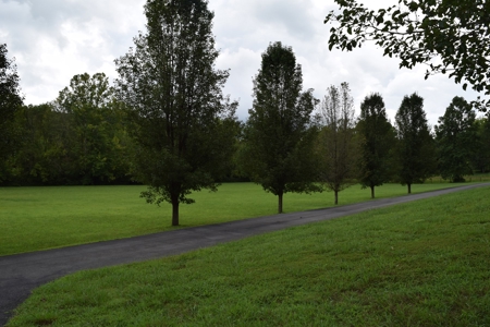 AUCTION Home/cars/personal property Sale in Hawkins CO TN - image 39