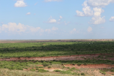 3,920 Acre Texas Cattle and Hunting Ranch Auction - image 11