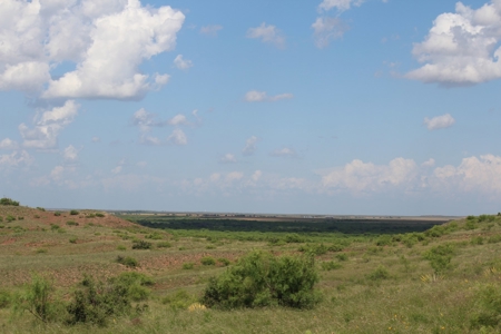 3,920 Acre Texas Cattle and Hunting Ranch Auction - image 13