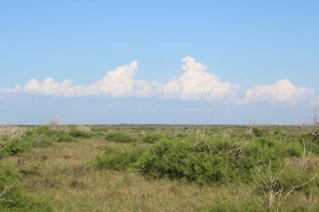 3,920 Acre Texas Cattle and Hunting Ranch Auction - image 18
