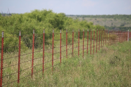 3,920 Acre Texas Cattle and Hunting Ranch Auction - image 1