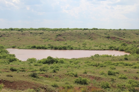 3,920 Acre Texas Cattle and Hunting Ranch Auction - image 12