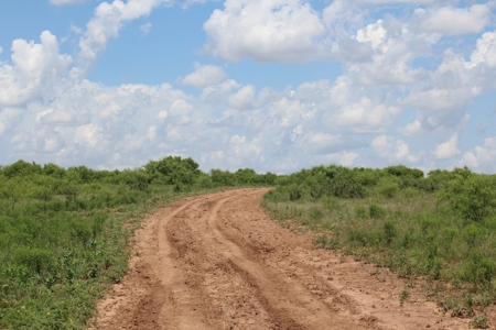 3,920 Acre Texas Cattle and Hunting Ranch Auction - image 6