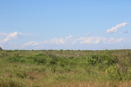 3,920 Acre Texas Cattle and Hunting Ranch Auction - image 16
