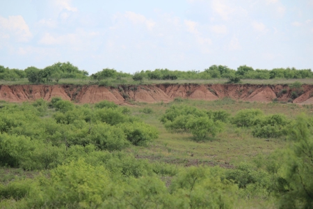 3,920 Acre Texas Cattle and Hunting Ranch Auction - image 9