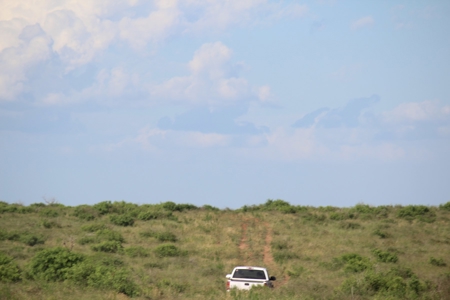 3,920 Acre Texas Cattle and Hunting Ranch Auction - image 17