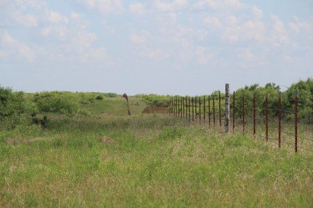 3,920 Acre Texas Cattle and Hunting Ranch Auction - image 8