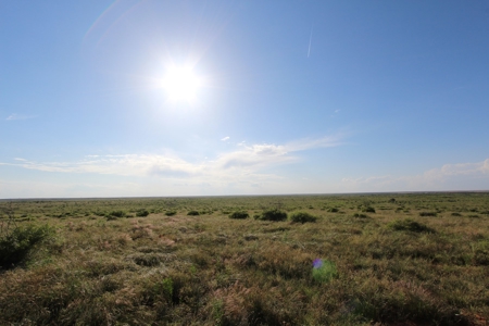 3,920 Acre Texas Cattle and Hunting Ranch Auction - image 19