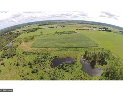 *AUCTION*  September 24 - 120Ac Farm Land, Income Potential - image 9
