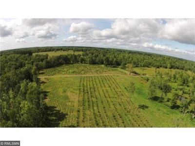 *AUCTION*  September 24 - 120Ac Farm Land, Income Potential - image 3