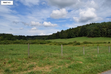 8 Acres of Open Land with Creek & Views for Sale at Auction! - image 11