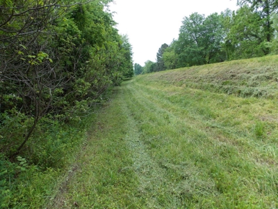 Commercial Building & Contents/5.3 Acre Tract Auction - image 41