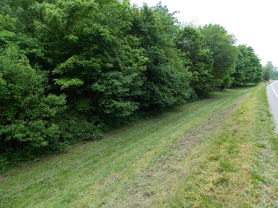 Commercial Building & Contents/5.3 Acre Tract Auction - image 31