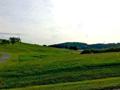 Commercial Property for sale at Auction East TN - image 11
