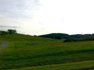 Commercial Property for sale at Auction East TN - image 12