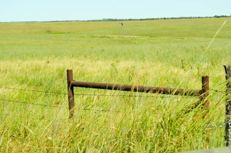 313± Acres of CRP & Pasture Land Auction For Sale in Kansas - image 5