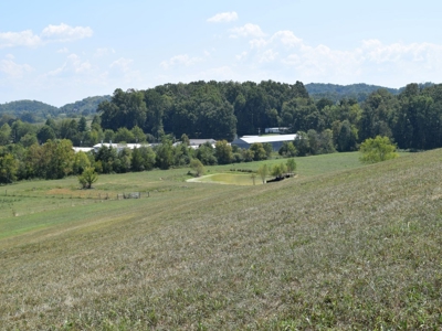 For Sale At Auction Farm East Tn/ Jefferson Co/ White Pine - image 10