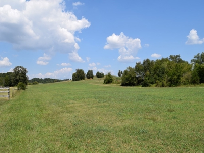 For Sale At Auction Farm East Tn/ Jefferson Co/ White Pine - image 37