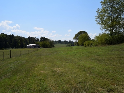 For Sale At Auction Farm East Tn/ Jefferson Co/ White Pine - image 24