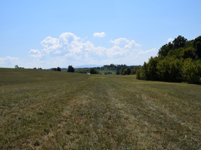 For Sale At Auction Farm East Tn/ Jefferson Co/ White Pine - image 19