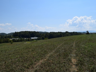 For Sale At Auction Farm East Tn/ Jefferson Co/ White Pine - image 4