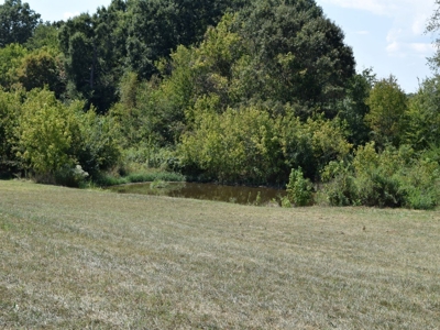 For Sale At Auction Farm East Tn/ Jefferson Co/ White Pine - image 17