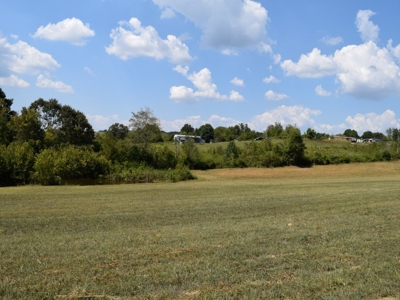 For Sale At Auction Farm East Tn/ Jefferson Co/ White Pine - image 16