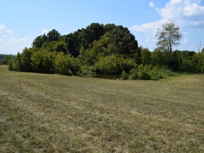 For Sale At Auction Farm East Tn/ Jefferson Co/ White Pine - image 18