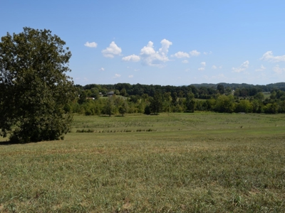For Sale At Auction Farm East Tn/ Jefferson Co/ White Pine - image 9