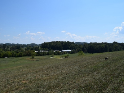 For Sale At Auction Farm East Tn/ Jefferson Co/ White Pine - image 13