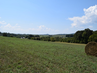 For Sale At Auction Farm East Tn/ Jefferson Co/ White Pine - image 7