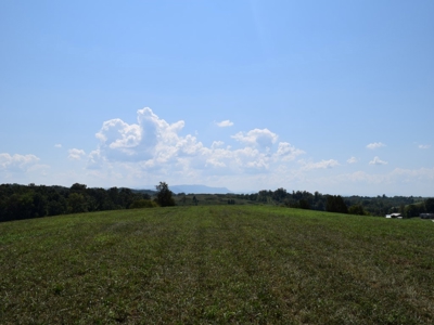 For Sale At Auction Farm East Tn/ Jefferson Co/ White Pine - image 14