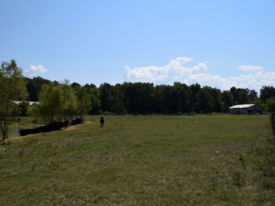 For Sale At Auction Farm East Tn/ Jefferson Co/ White Pine - image 27