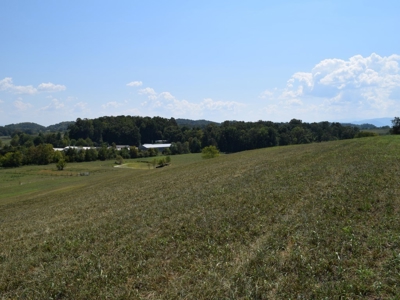 For Sale At Auction Farm East Tn/ Jefferson Co/ White Pine - image 11