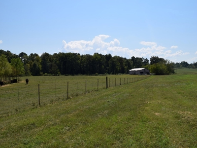 For Sale At Auction Farm East Tn/ Jefferson Co/ White Pine - image 25