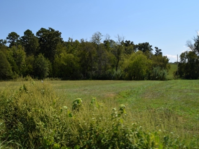 For Sale At Auction Farm East Tn/ Jefferson Co/ White Pine - image 29