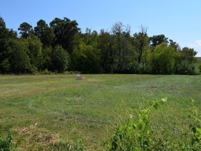 For Sale At Auction Farm East Tn/ Jefferson Co/ White Pine - image 30