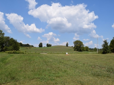 For Sale At Auction Farm East Tn/ Jefferson Co/ White Pine - image 32