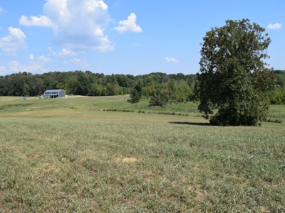 For Sale At Auction Farm East Tn/ Jefferson Co/ White Pine - image 8