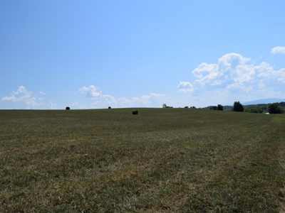 For Sale At Auction Farm East Tn/ Jefferson Co/ White Pine - image 20